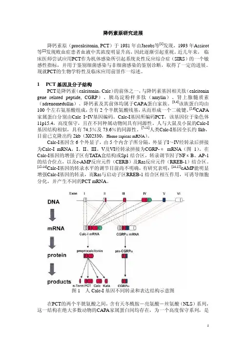 降钙素原研究进展