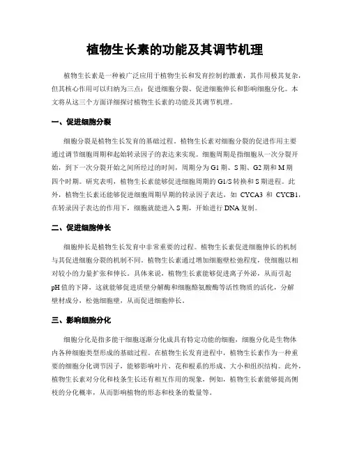 植物生长素的功能及其调节机理