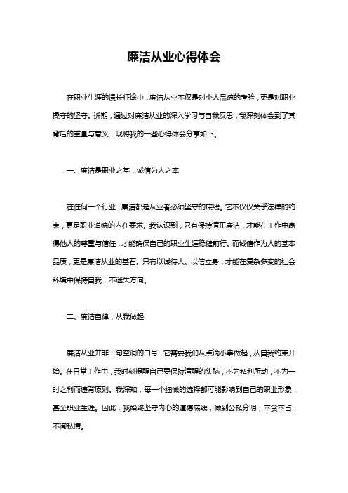 廉洁从业心得体会