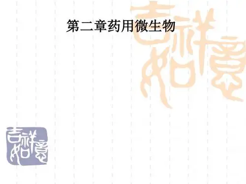 第二章药用微生物PPT课件