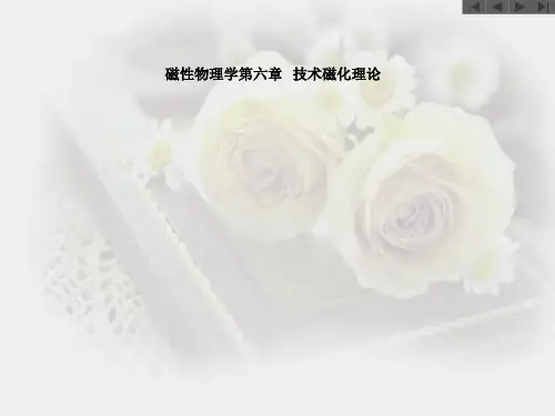 磁性物理学第六章   技术磁化理论
