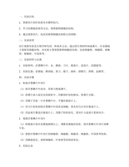切片观察实验实验报告