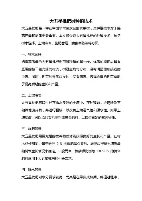 大五星枇杷树种植技术