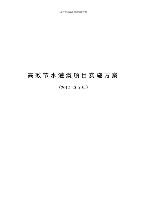 高效节水灌溉项目实施方案