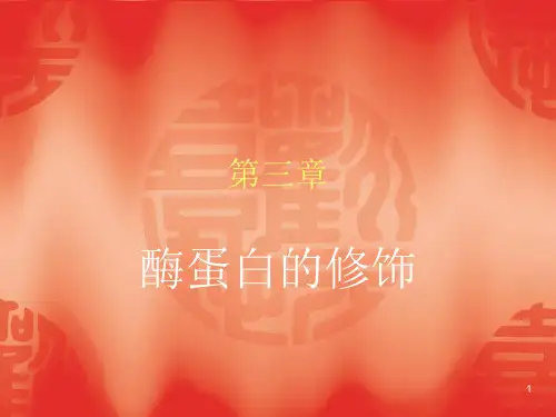 第三章酶蛋白的化学修饰