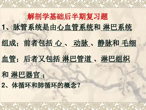 (医学课件)护理中专解剖学基础ppt课件