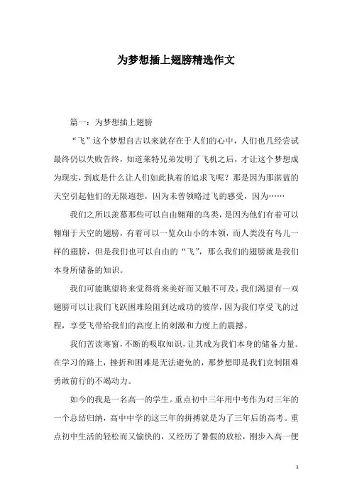 为梦想插上翅膀精选作文