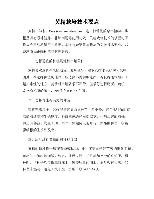 黄精栽培技术要点