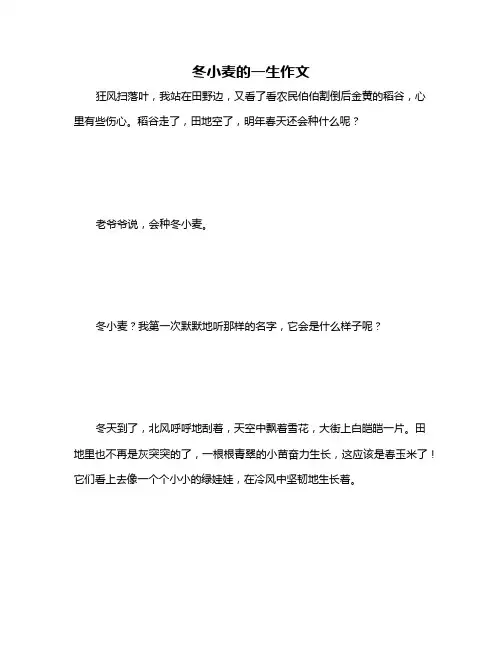 冬小麦的一生作文