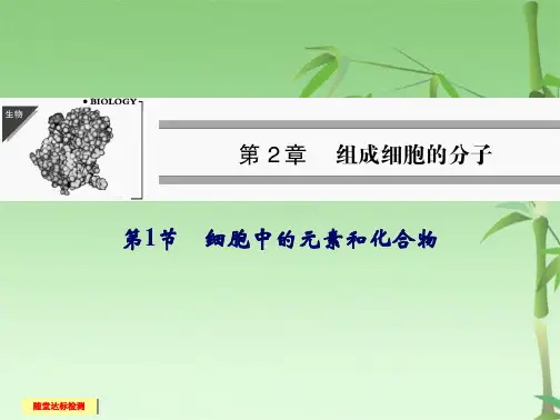 高中生物必修一第二章第一节细胞中的元素和化合物(共36张PPT)