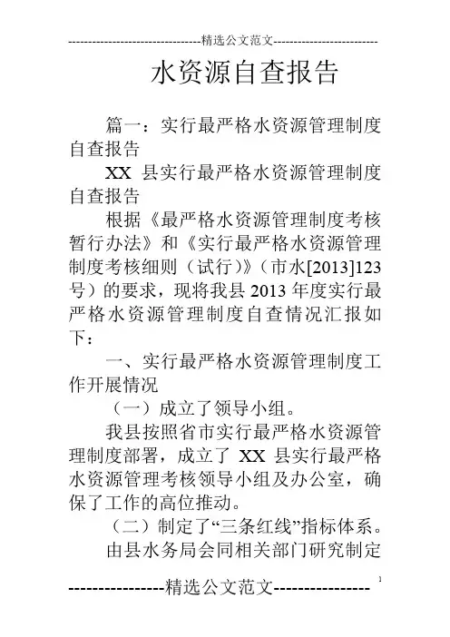 水资源自查报告
