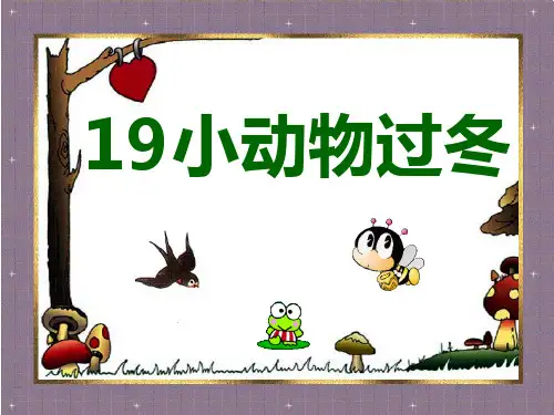 小动物过冬1优质课件PPT