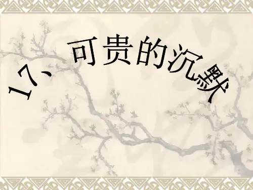 17、《可贵的沉默》课件