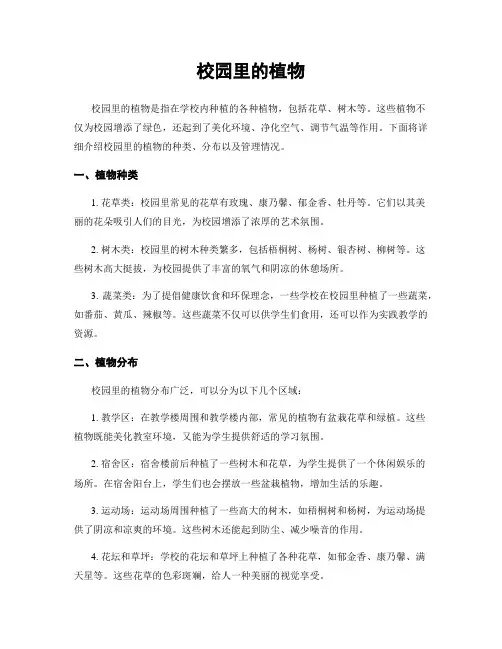 校园里的植物