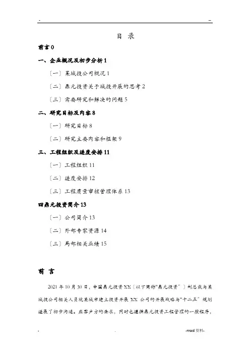 某城投公司战略规划