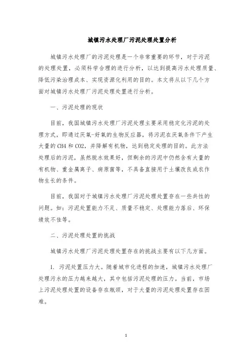 城镇污水处理厂污泥处理处置分析
