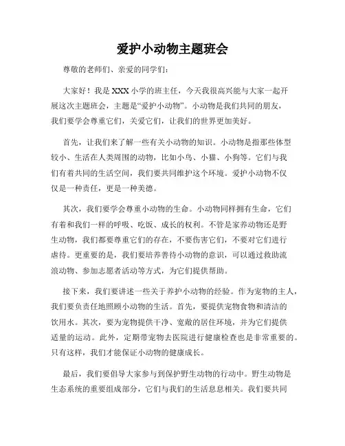 爱护小动物主题班会