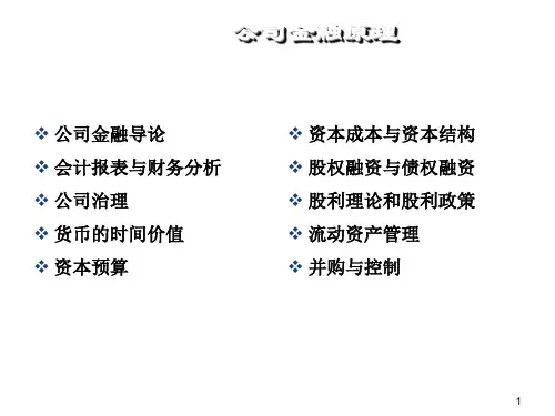 公司金融导论ppt课件