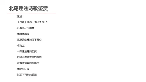 北岛迷途诗歌鉴赏