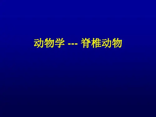 动物学第七章：爬行动物繁殖方式