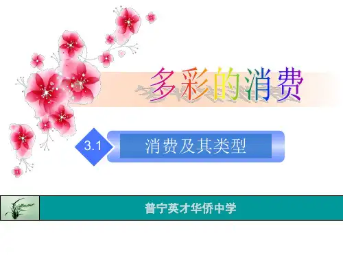 31消费及其类型精品PPT课件