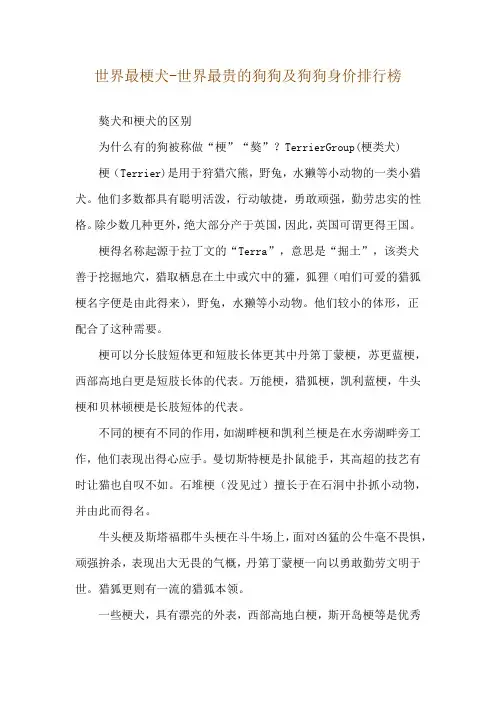 世界最梗犬-世界最贵的狗狗及狗狗身价排行榜