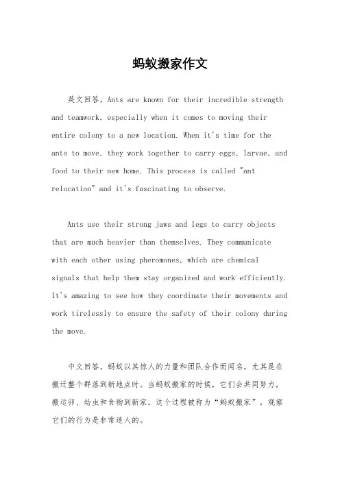 蚂蚁搬家作文
