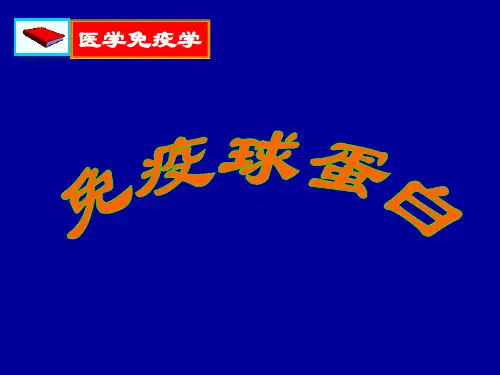 免疫球蛋白PPT课件