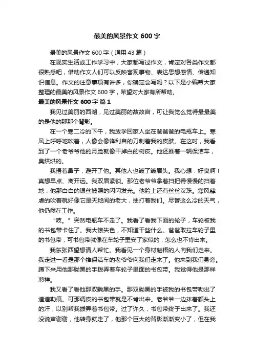 最美的风景作文600字（通用43篇）