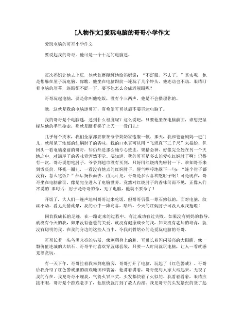 [人物作文]爱玩电脑的哥哥小学作文