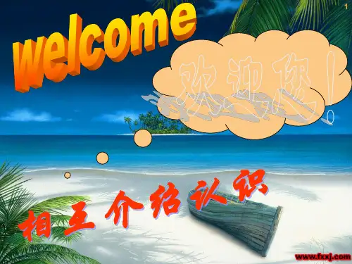 中国平安保险成长见证会讲解PPT45页PPT