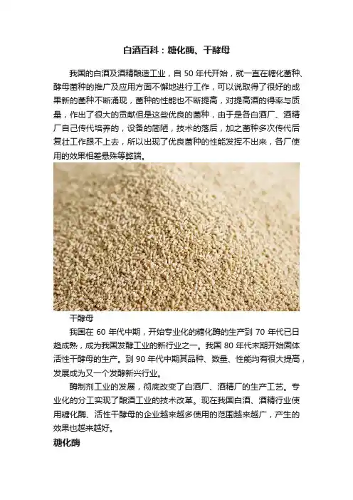 白酒百科：糖化酶、干酵母