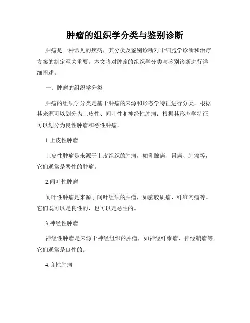 肿瘤的组织学分类与鉴别诊断