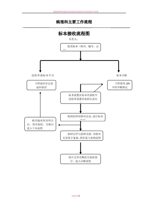 病理主要工作流程