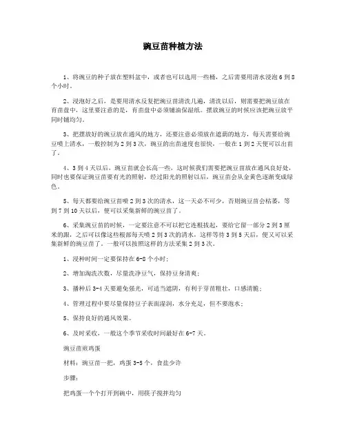 豌豆苗种植方法