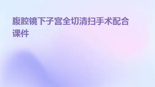 腹腔镜下子宫全切清扫手术配合课件