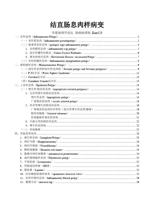 结直肠息肉样病变