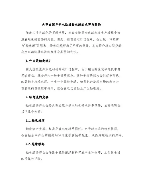 大型交流异步电动机轴电流的危害与防治