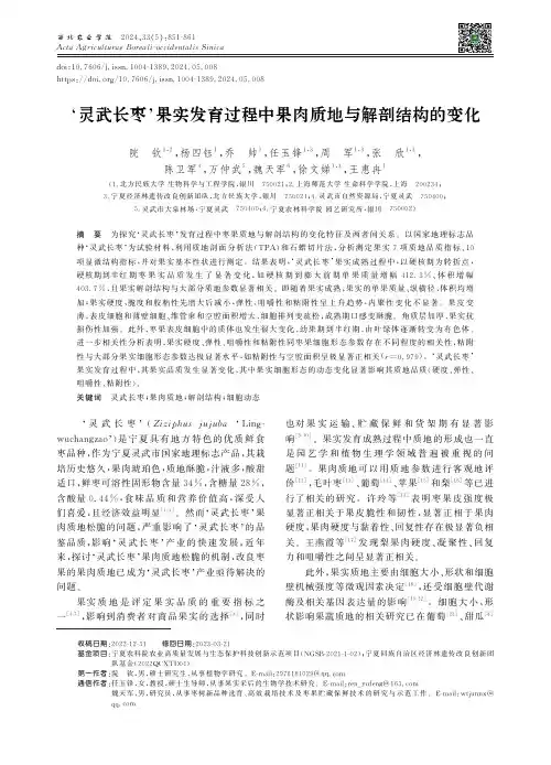 ‘灵武长枣’果实发育过程中果肉质地与解剖结构的变化