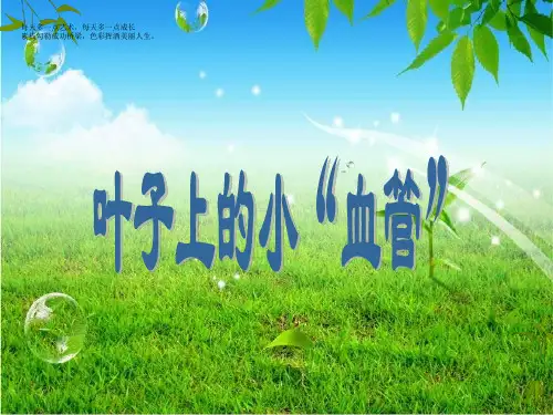 二年级下册美术课件-8《叶子上的小“血管”》 人教新课标 (共10张PPT)PPT课件 图文