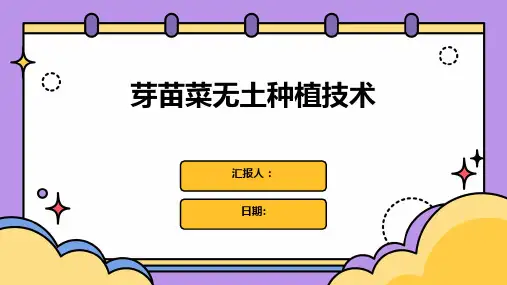 芽苗菜无土种植技术
