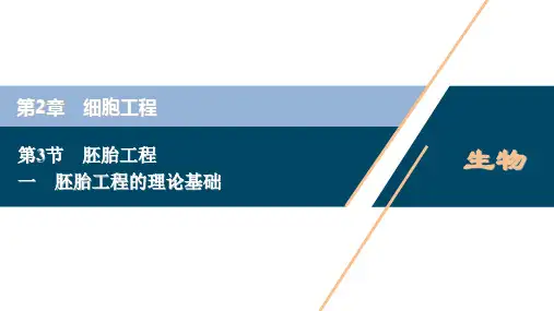 高中生物新人教版选择性必修3胚胎工程的理论基础(33张)课件