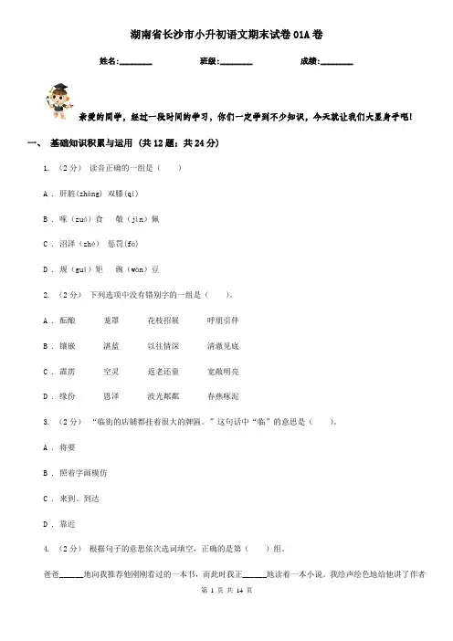 湖南省长沙市小升初语文期末试卷01A卷