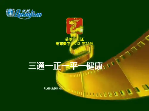 权健三通一正湖南怀化专用版本-蒋师明