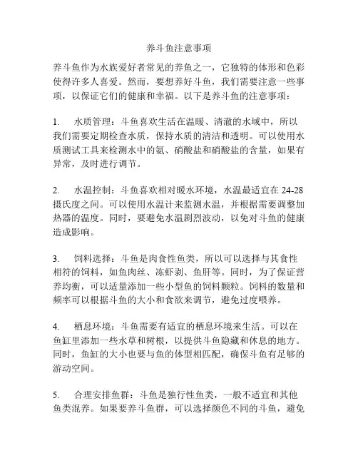 养斗鱼注意事项