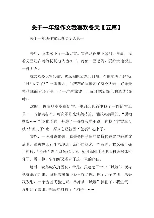 关于一年级作文我喜欢冬天【五篇】