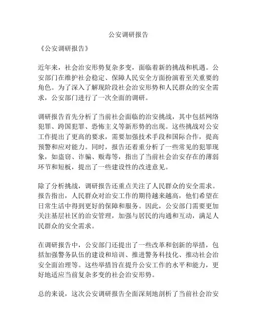 公安调研报告