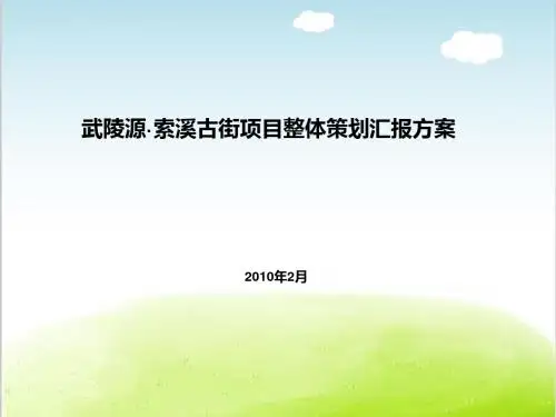 某古街项目整体策划汇报方案PPT(共 111张)