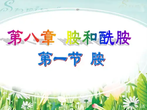 胺和酰胺