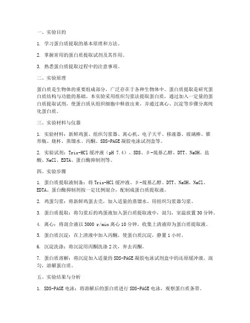 蛋白提取实验报告